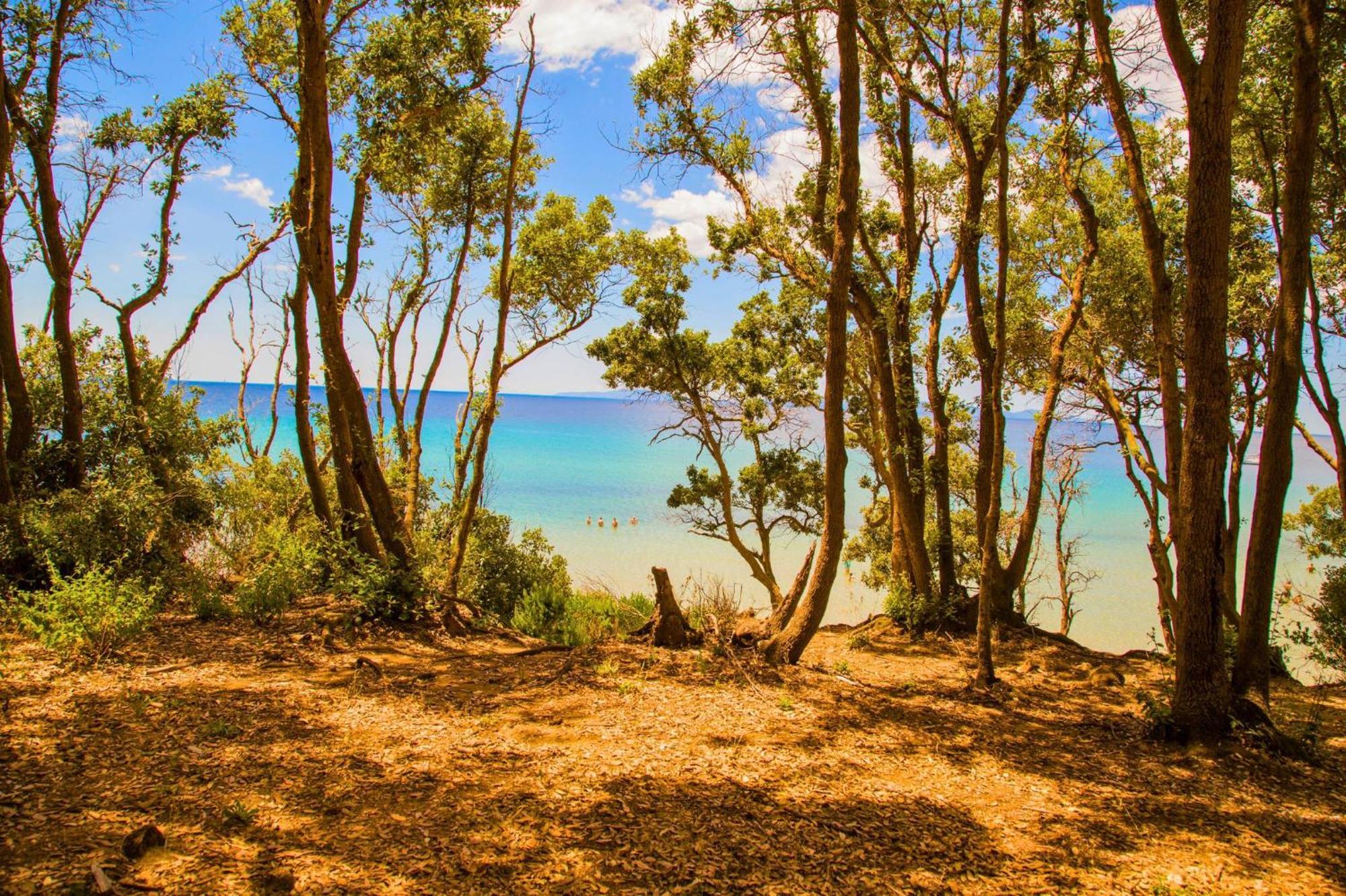 Oasimaremma Village سكارلينو المظهر الخارجي الصورة
