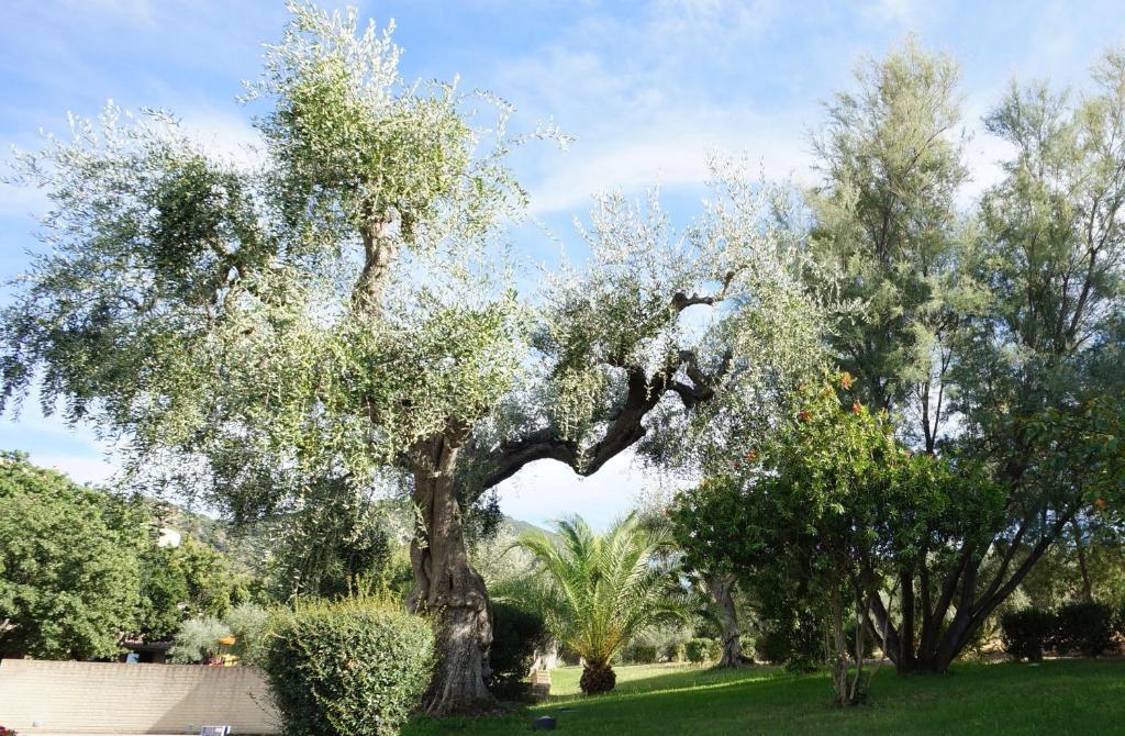 Oasimaremma Village سكارلينو المظهر الخارجي الصورة